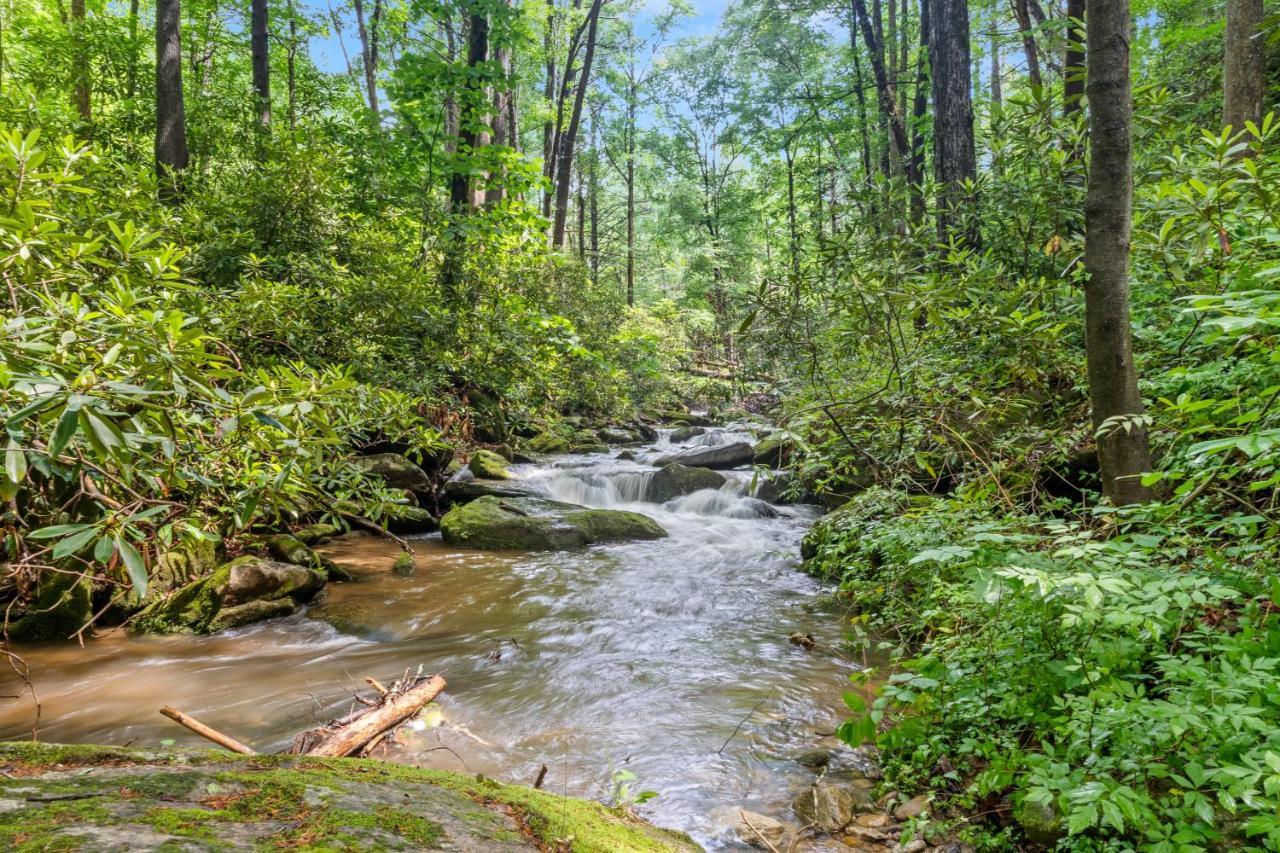 Falling Waters At Rumbling Bald Lake Lure Exteriör bild