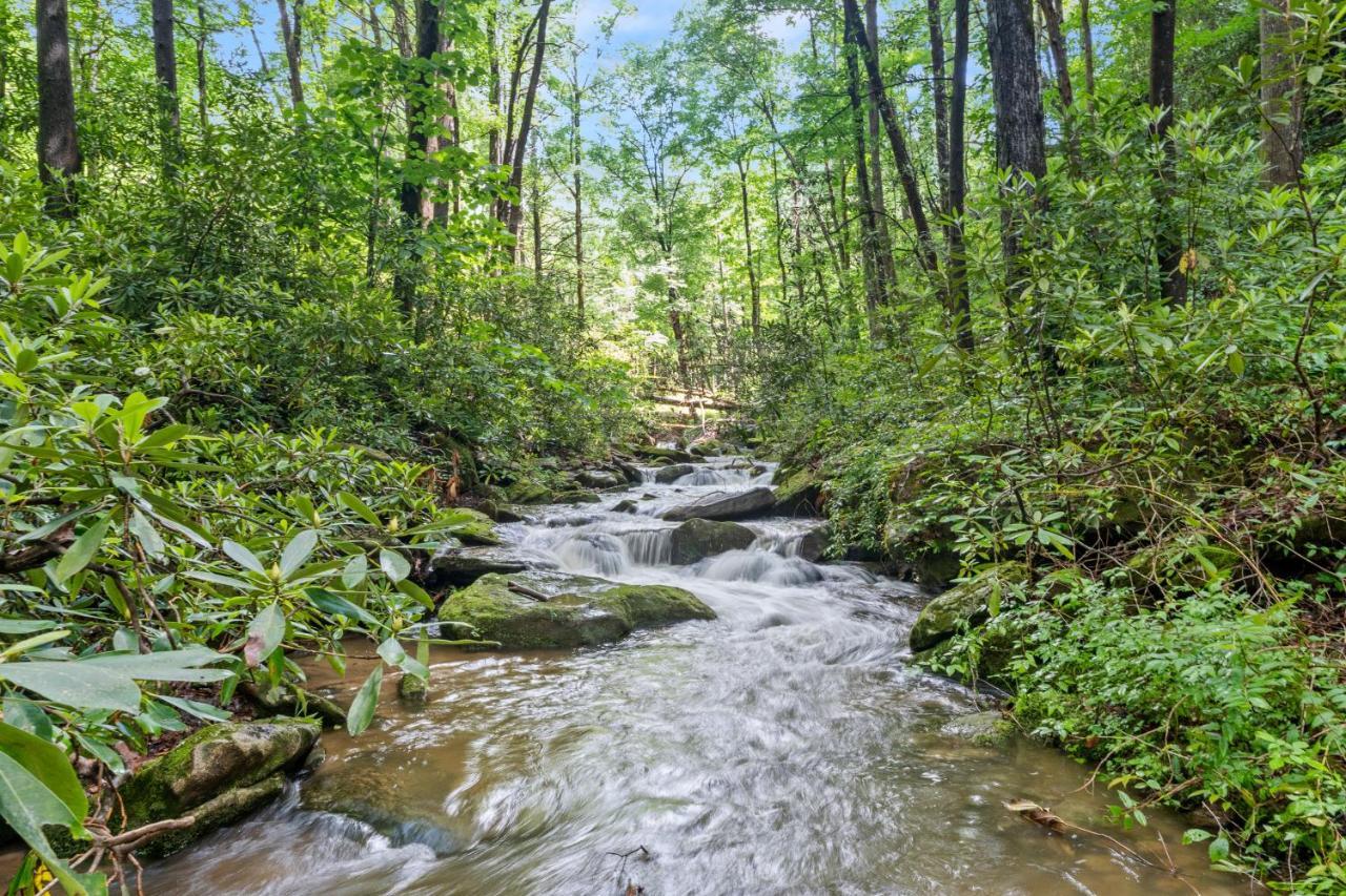 Falling Waters At Rumbling Bald Lake Lure Exteriör bild